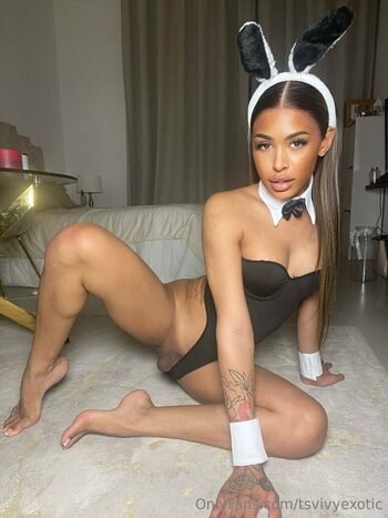tsvivyexotic