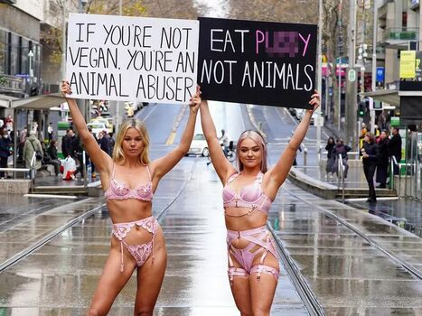 Veganbooty