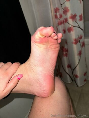 venus_kittyxo