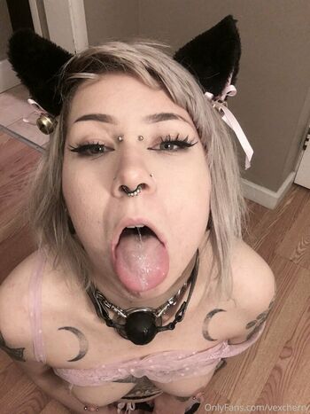 vexcherry