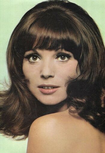 Vintage Starlets