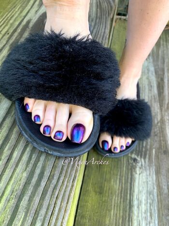 vixen.arches