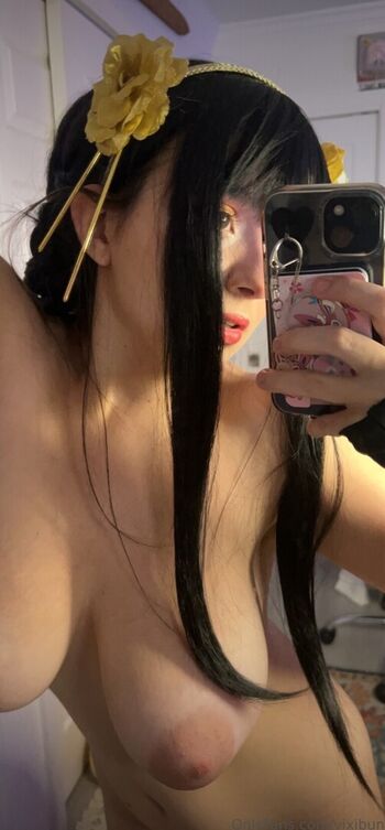 vixibun