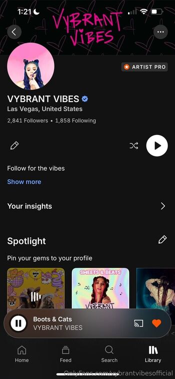 vybrantvibesofficial