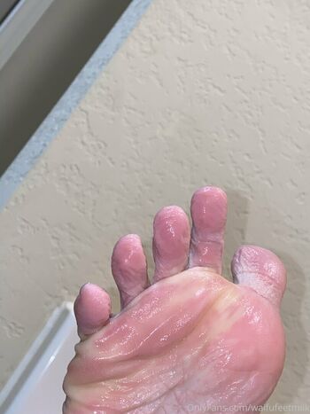 WaifuFeetMilk