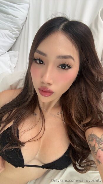 waifuyoshitv