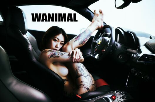 Wanimal Models