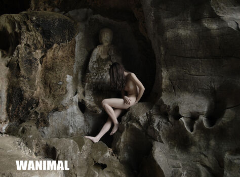 Wanimal Models