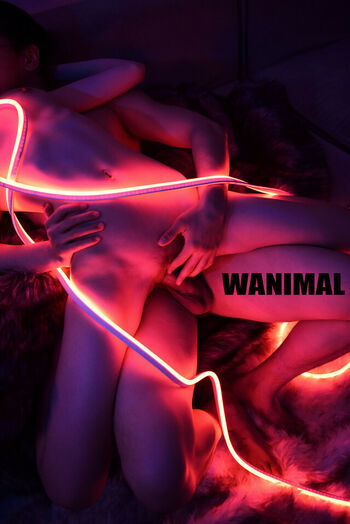 Wanimal Models
