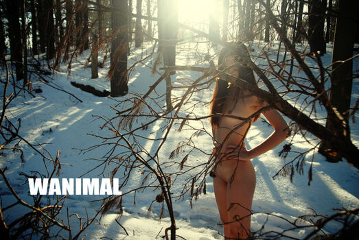 Wanimal Models