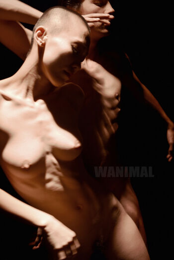 Wanimal Models