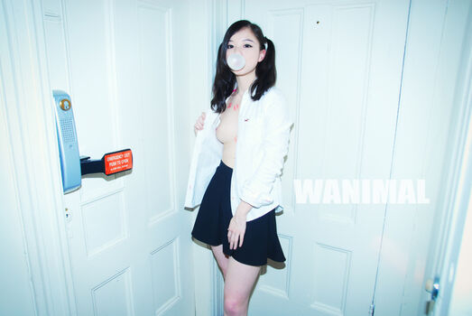 Wanimal Models