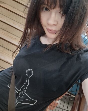 Wheybunny