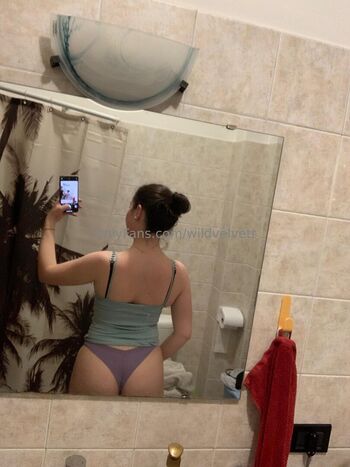 wildvelvett