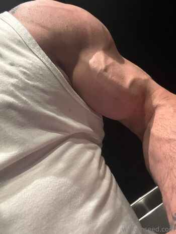 william_seedxxx