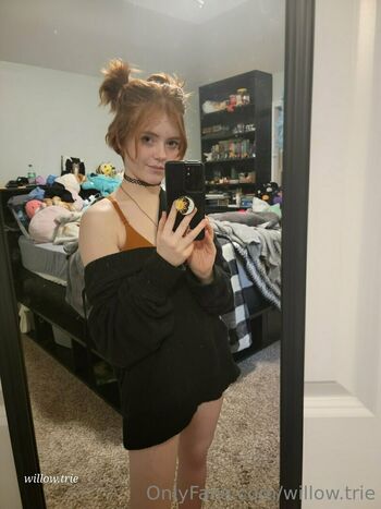 Willow.trie