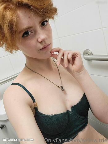 Willow.trie