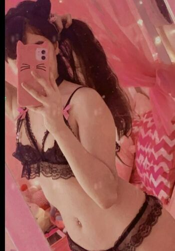 XNatKittyCat