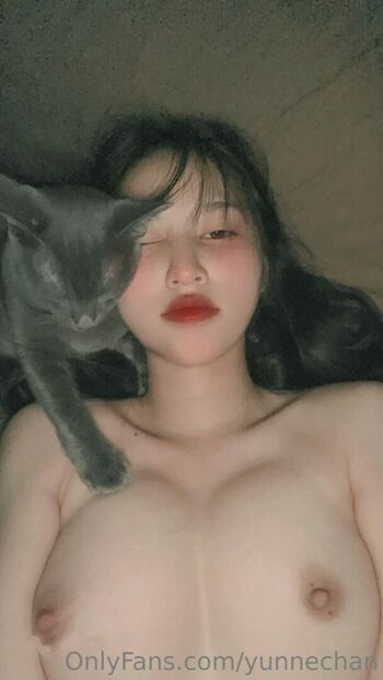 yunnechan