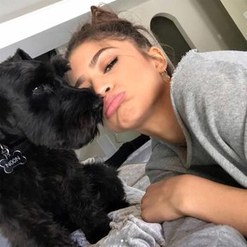 Zendaya
