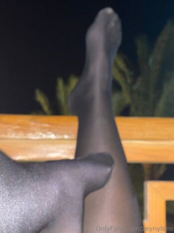 zeynylons