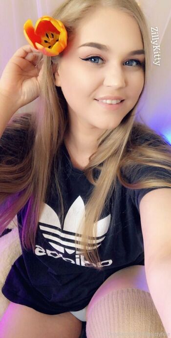 zillykittyfree